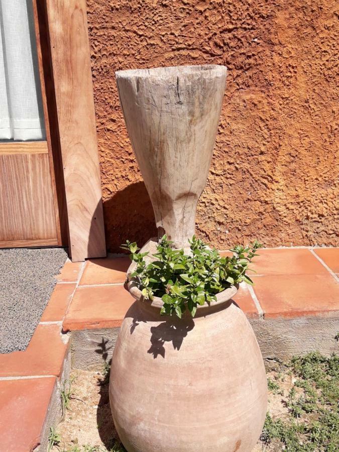 El Solei Paraiso En El Montseny 阿布册斯 外观 照片