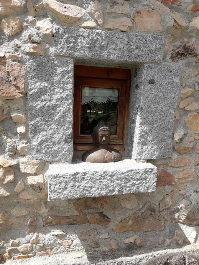 El Solei Paraiso En El Montseny 阿布册斯 外观 照片