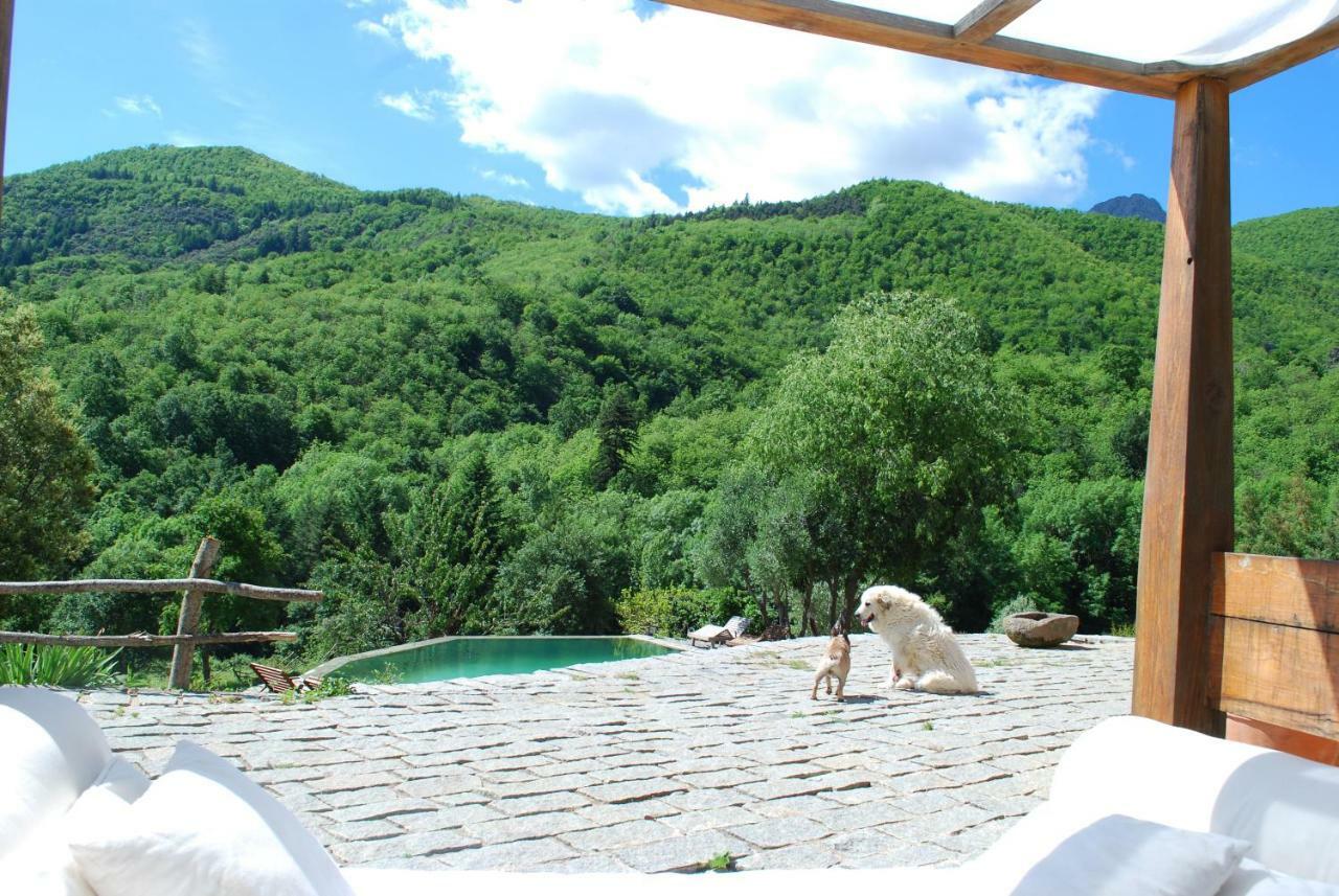 El Solei Paraiso En El Montseny 阿布册斯 外观 照片
