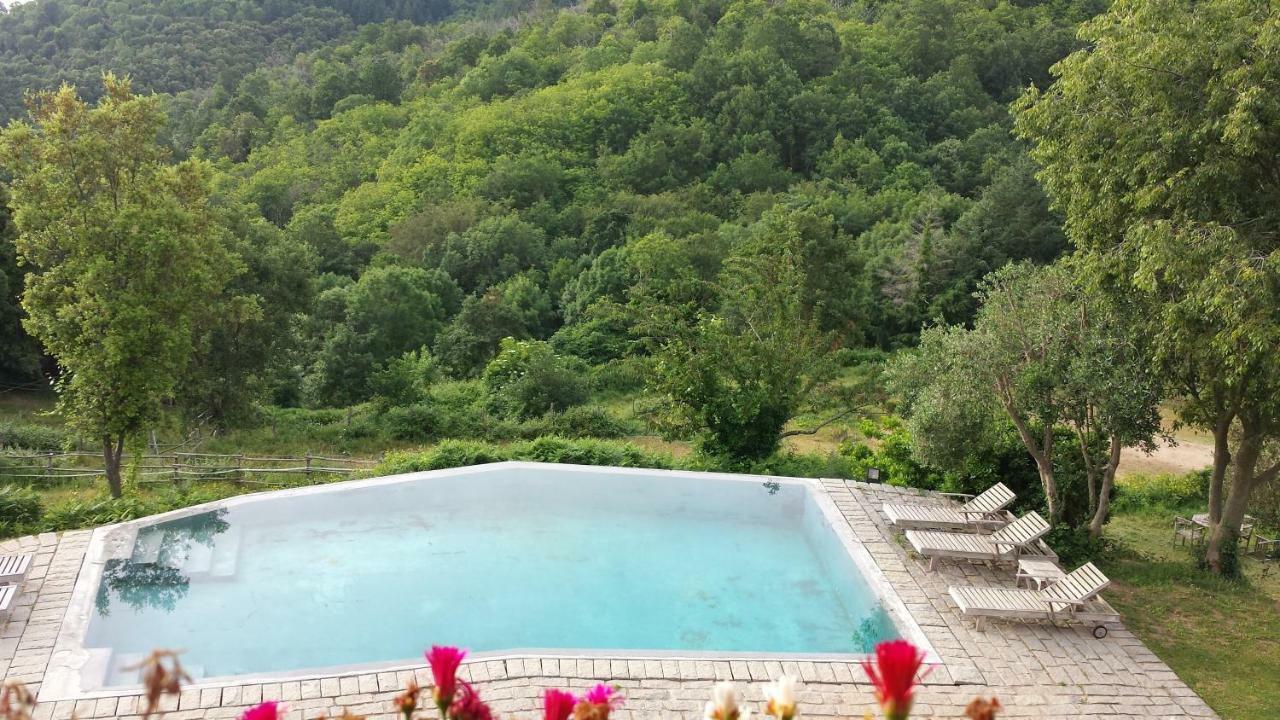 El Solei Paraiso En El Montseny 阿布册斯 外观 照片